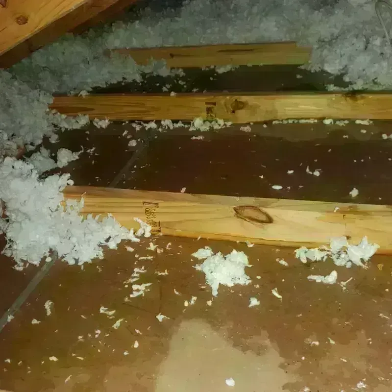 Attic Water Damage in Hawkins, TX