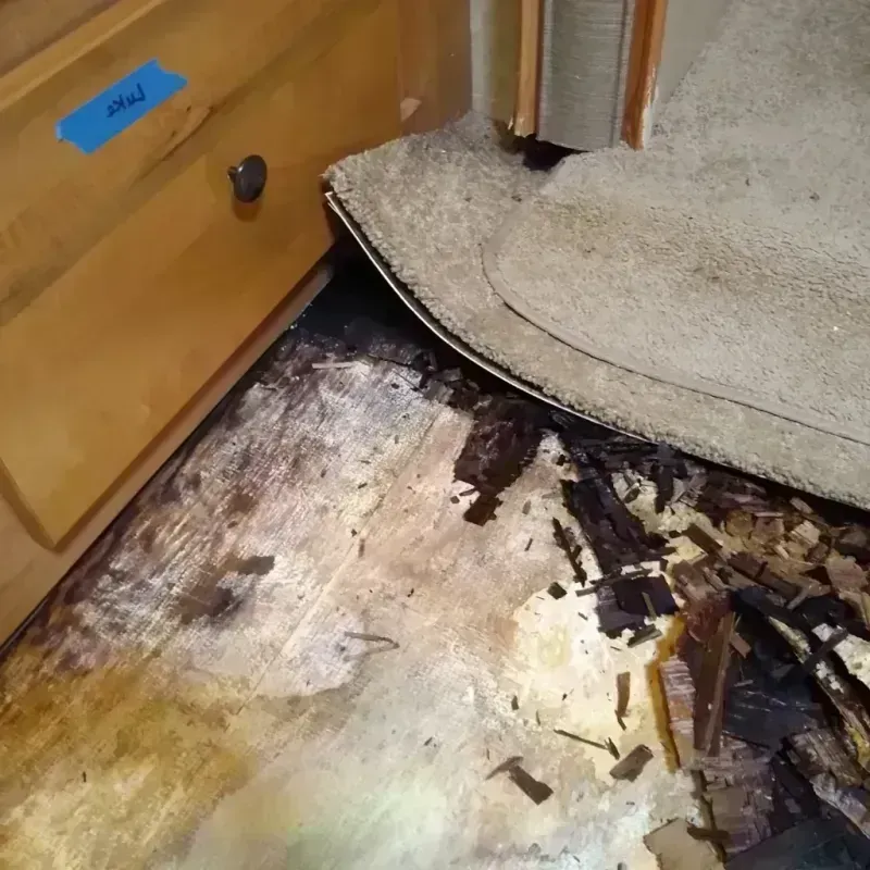 Wood Floor Water Damage in Hawkins, TX